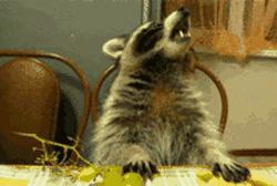 如何在大学期间长高5cm?