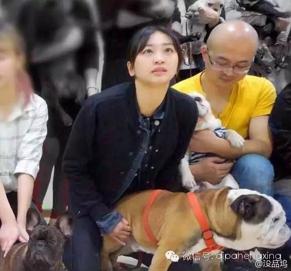 爆逗糗段,哎,那个菇娘,你踩我们的电磁炉干什么?