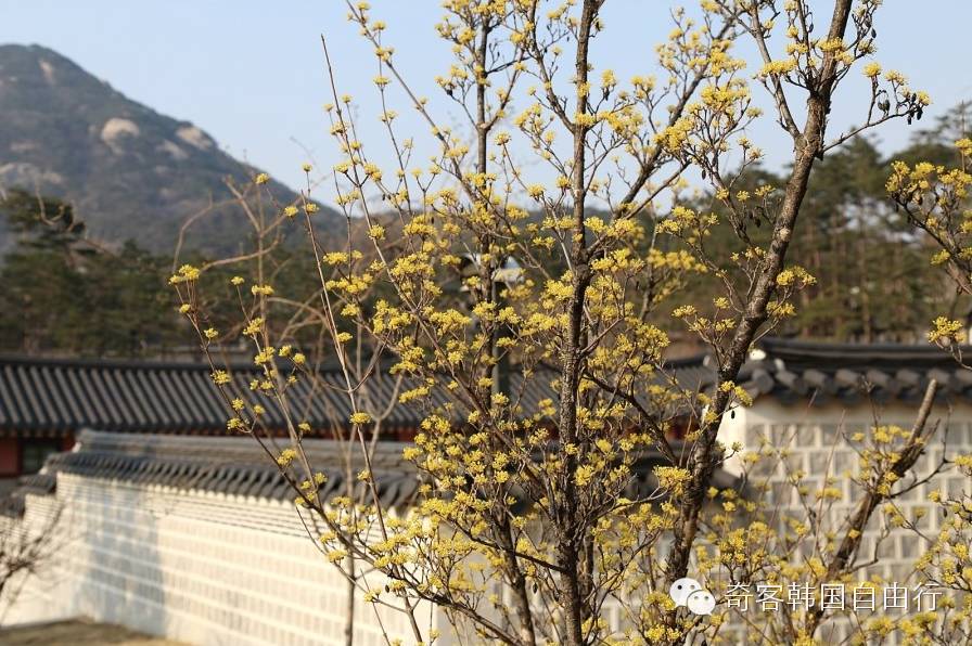 韩国故宫景福宫与中国故宫,韩国故宫景福宫游玩