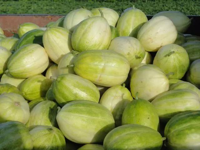 辽宁省特产别的省份吃不到的,辽宁的十大特色水果