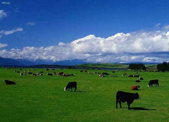 海华购用300万天使投资做跨境代购防伪