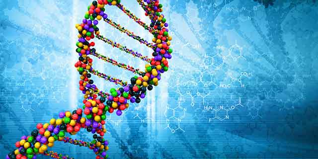 涂皮康王过敏怎么办,每天用康王过敏怎么办