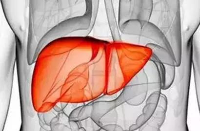 中医调理五脏六腑疾病的顺序,五脏六腑中医调理顺序