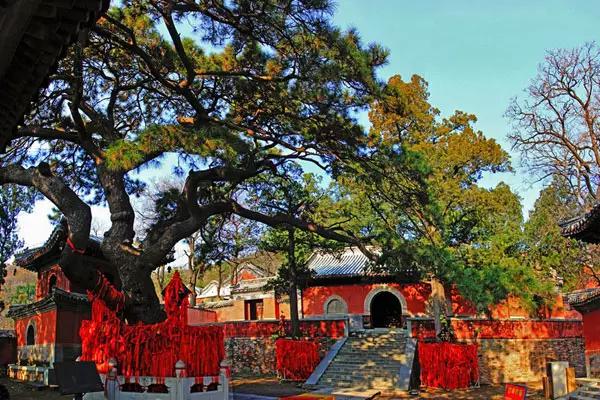 28岁北京姑娘征婚,北京中老年征婚交友50岁左右