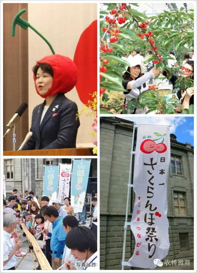 美味七七倒闭,生鲜电商亏本的原因有哪些