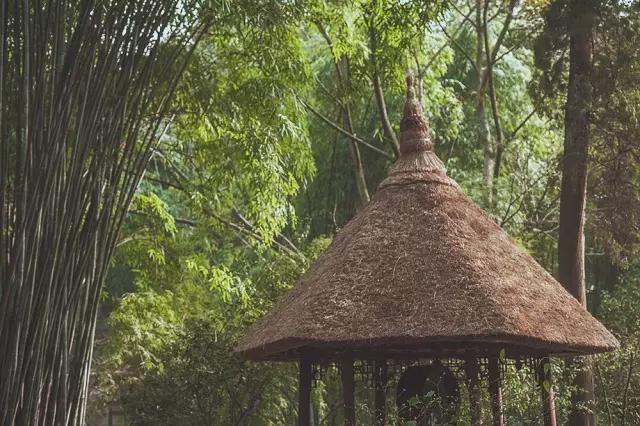 他在这里盖房子时,日本人还没学会唐风