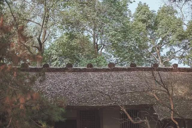 他在这里盖房子时,日本人还没学会唐风