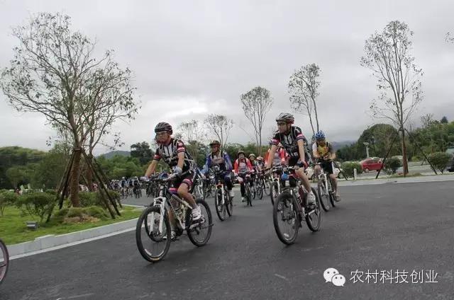 适合农村创业的小本点子,12个适合农村创业的小本项目