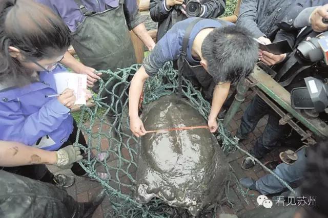 苏州园区以旧换新房价会怎样,苏州新鲜事今日头条