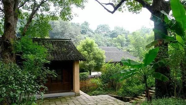 杭州茶园民宿酒店推荐,清明假期酒店推荐