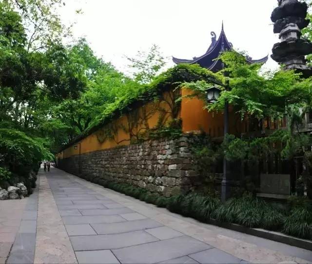 杭州茶园民宿酒店推荐,清明假期酒店推荐