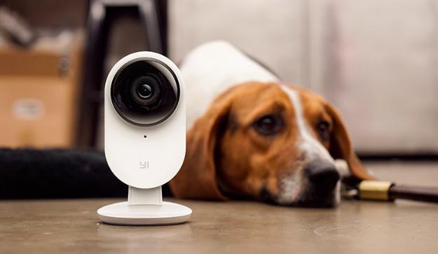 小蚁和小米摄像机哪个好,小蚁智能摄像头是小米的吗