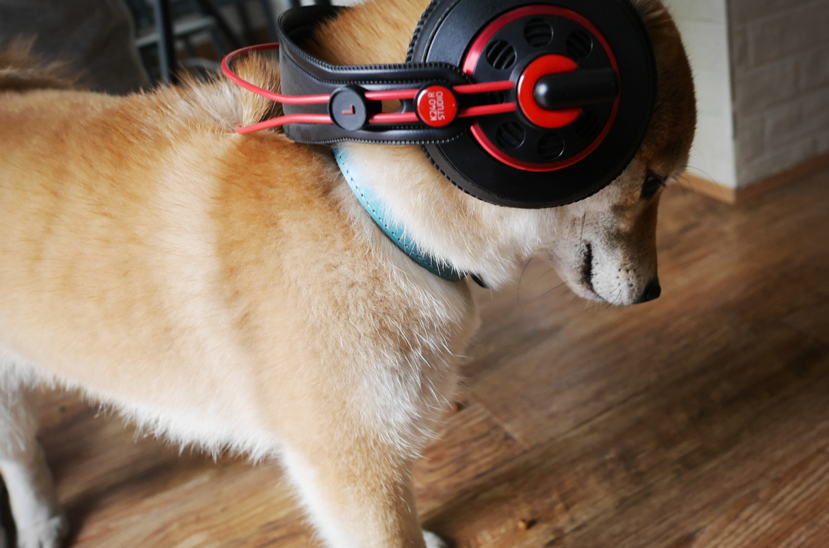 AKGK240R——经典可以延续的~