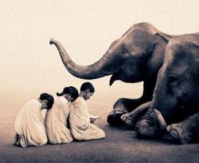 佛教徒为什么禁止吃肉,佛教徒为什么不能吃螃蟹