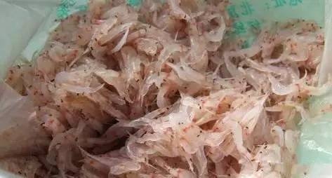 那些不认识的海鲜小干货,超级干货2022