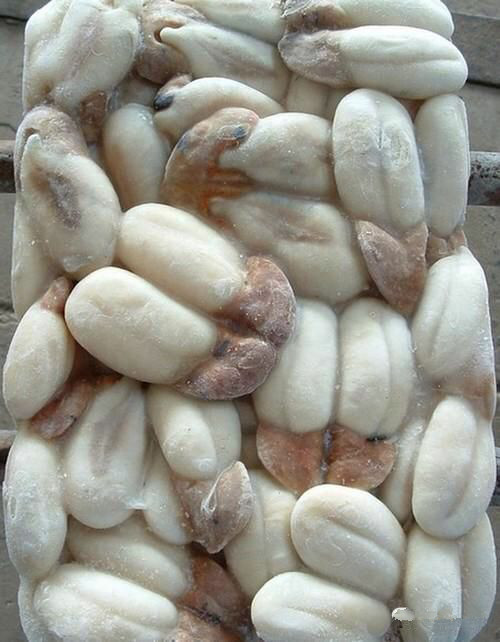 那些不认识的海鲜小干货,超级干货2022