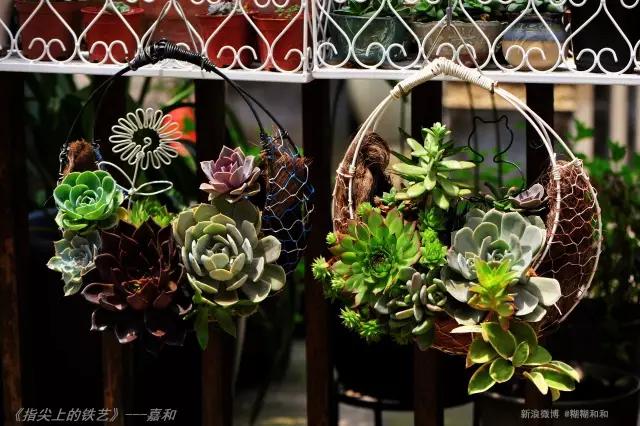 春田花花好物分享,春田花花创作的原创