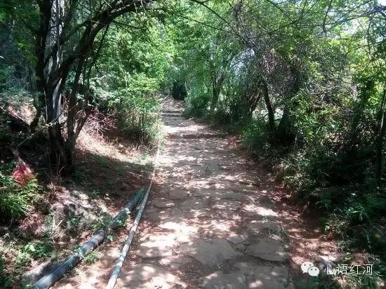 莲花山17km徒步,徒步羊草山