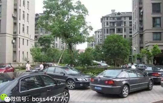 低调豪车辉腾接人,低调总裁开大众辉腾