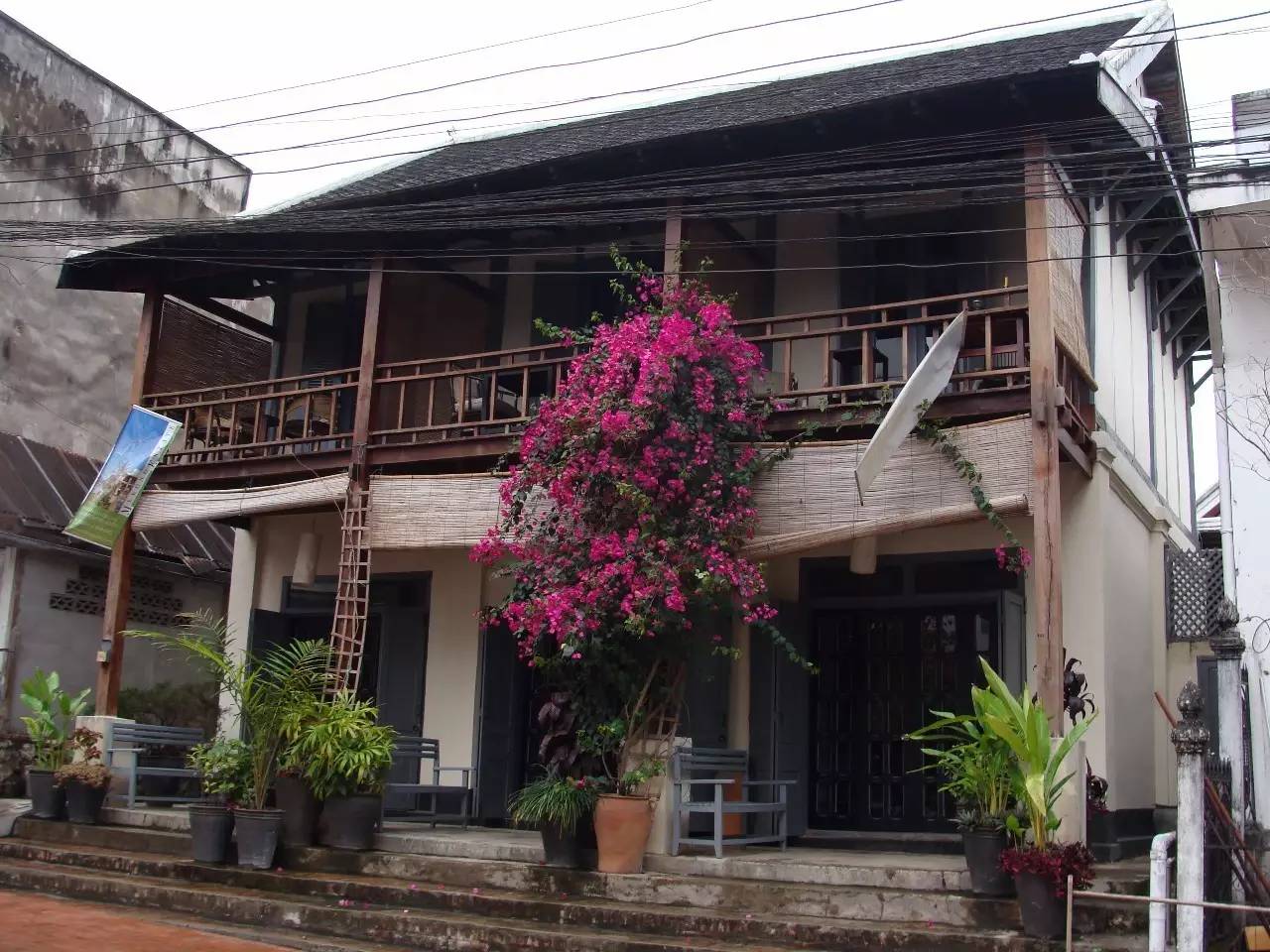 过去时116|神奇的迷幻蘑菇