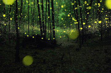 将南瓜子稍加“调教”不可思议的一幕发生了!