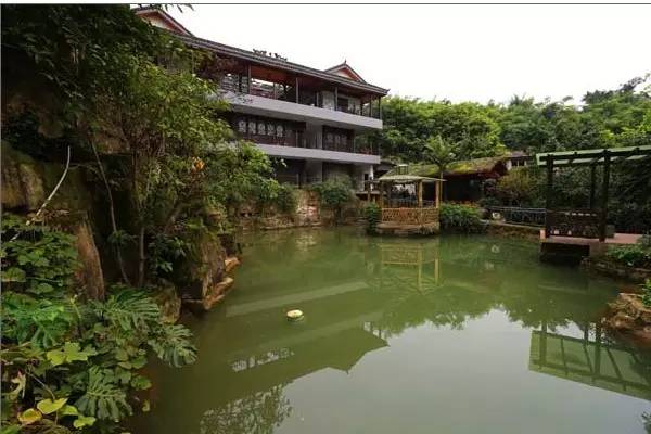 周末没地方玩去哪,推荐重庆一个可以住农家乐的景区