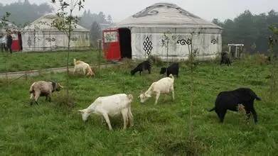 周末没地方玩去哪,推荐重庆一个可以住农家乐的景区