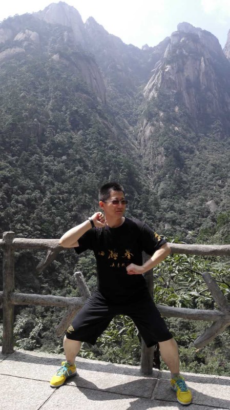 王国印案,王国印