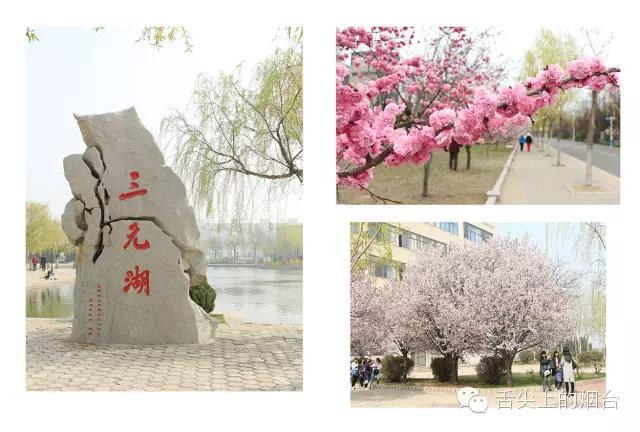 烟台大学食堂什么最好吃,烟台大学食堂哪家最好