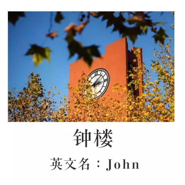 趣谈这里有一本山大非官方英文名称图册