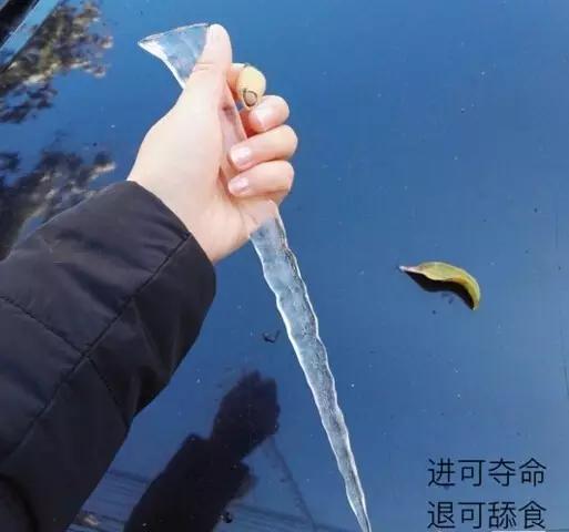 最安全的防狼神器,防狼神器东西大全