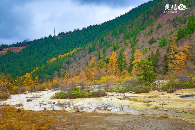 鍛宠暰娴佽繛蹇樿繑,鍛宠暰鐣欐亱