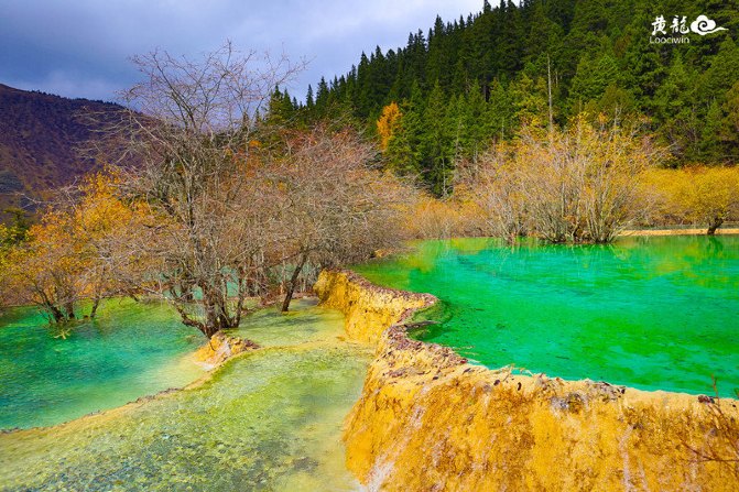 鍛宠暰娴佽繛蹇樿繑,鍛宠暰鐣欐亱