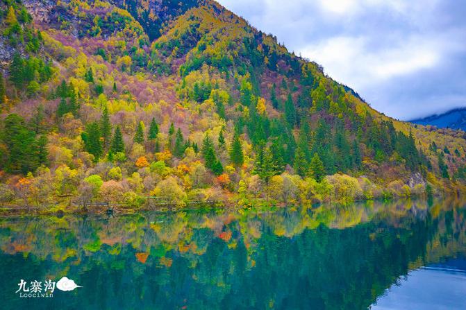 鍛宠暰娴佽繛蹇樿繑,鍛宠暰鐣欐亱