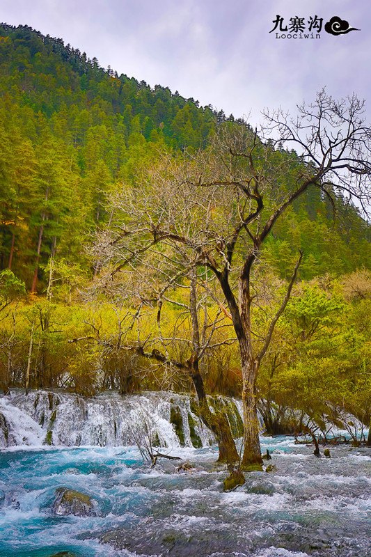 鍛宠暰娴佽繛蹇樿繑,鍛宠暰鐣欐亱