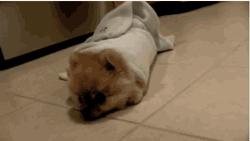 如何在大学期间长高5cm?