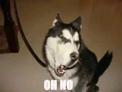 如何在大学期间长高5cm?