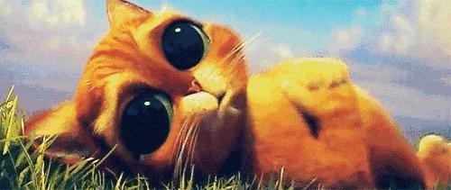 原来思聪后宫团都是美瞳控!如何放电“养”眼两不误?