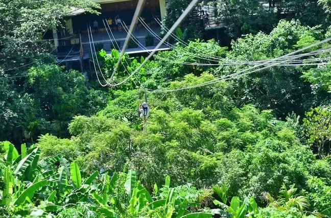 北方人第一次来三亚吃海鲜,一个人在三亚吃海鲜自助