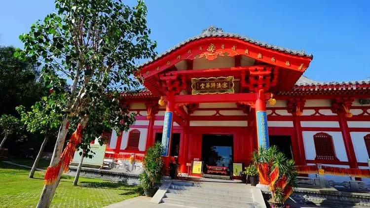 北方人第一次来三亚吃海鲜,一个人在三亚吃海鲜自助