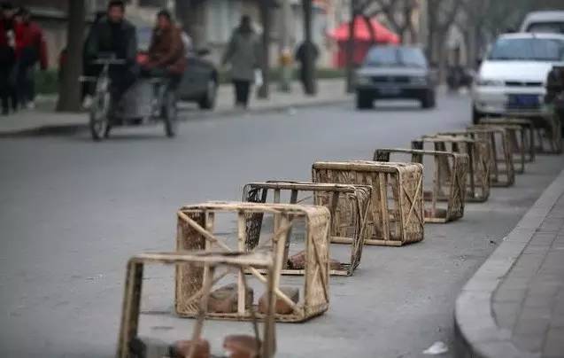 巅峰极速抢车位有什么用,怎么找不到巅峰极速抢车位