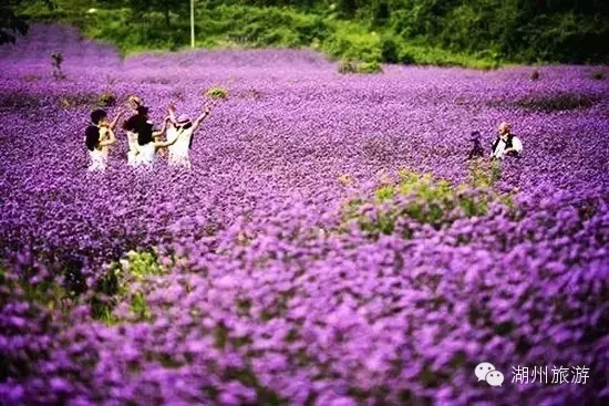 湖州西塞山旅游度假区,西塞山君澜度假酒店