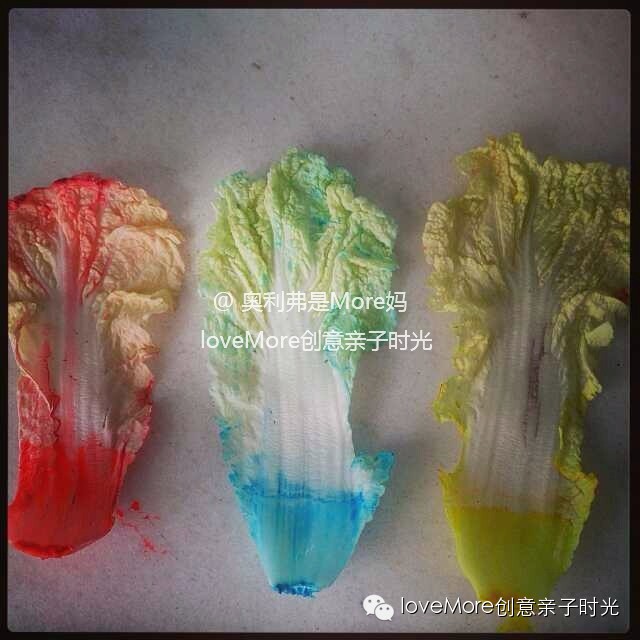 亲子活动记录,适宜2-3个月的亲子活动