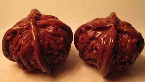 买金刚菩提手串注意事项,买金刚菩提有什么注意事项