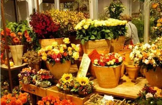 15元的跑腿秘书,在家就可以吃遍松江!