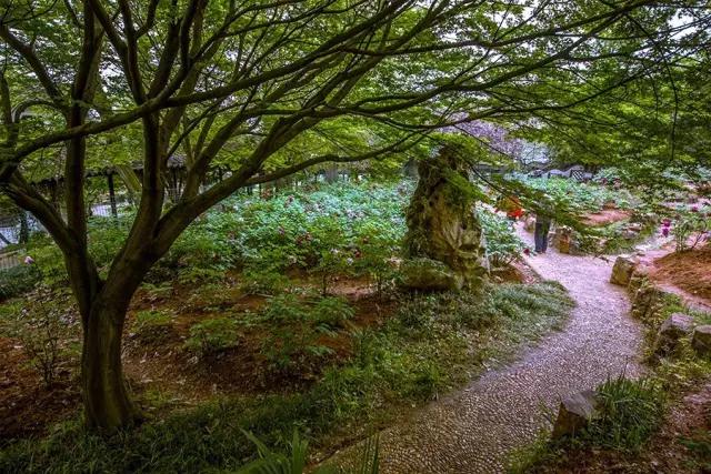 铜陵这里怎么会有金色的河流，惊呆了！