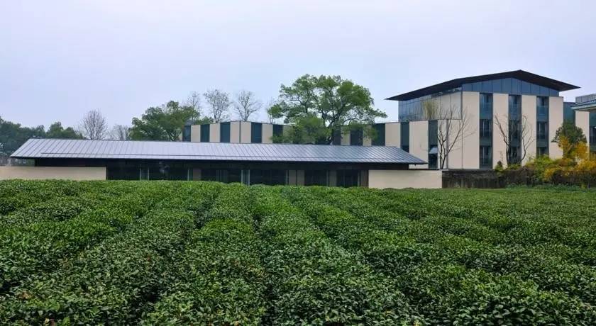 杭州茶园民宿酒店推荐,清明假期酒店推荐