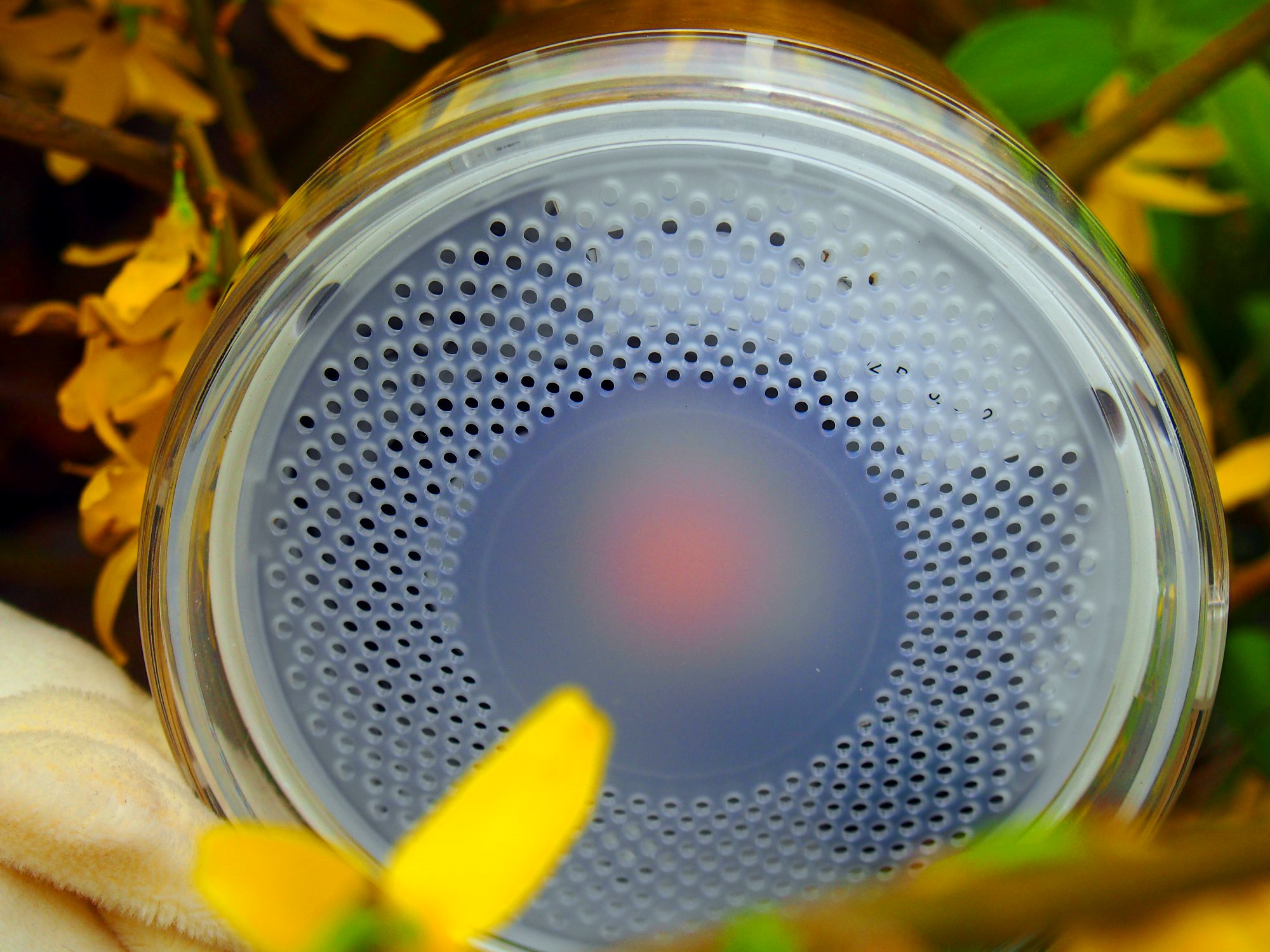 生迪智能灯,生迪无线音乐智能灯