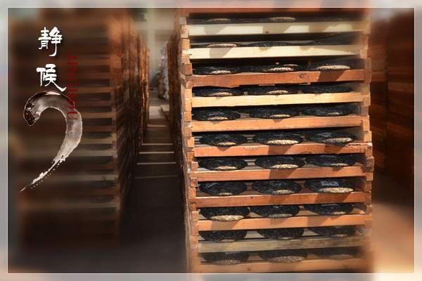 普洱茶熟茶制作流程图,做普洱茶如何入门