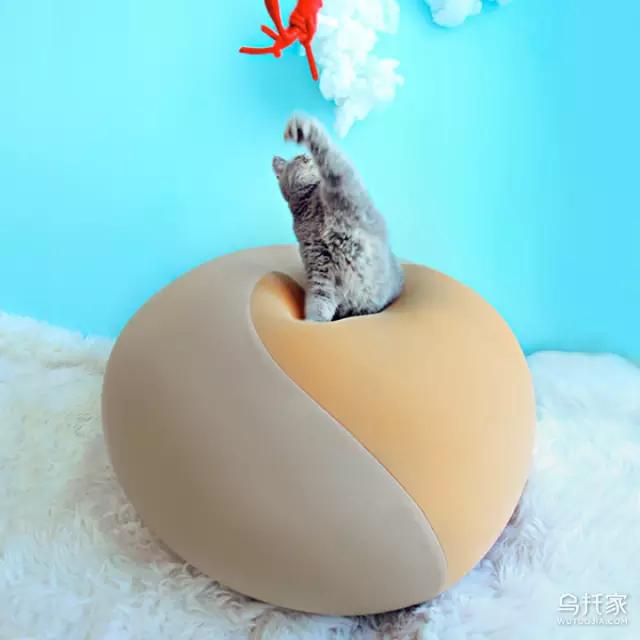 大象耳朵懒人沙发,堪比狗窝的懒人沙发